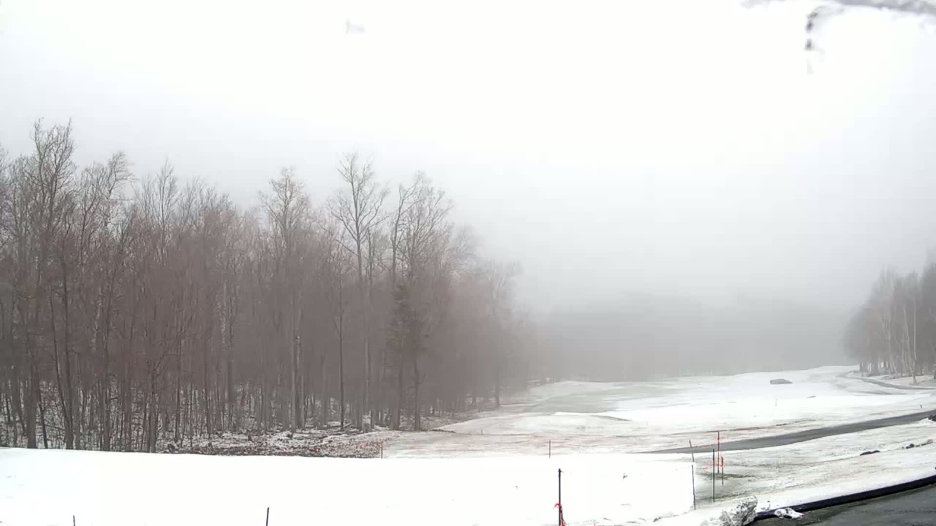 A snow-covered golf course is visible through a dense fog, with leafless trees lining the background.