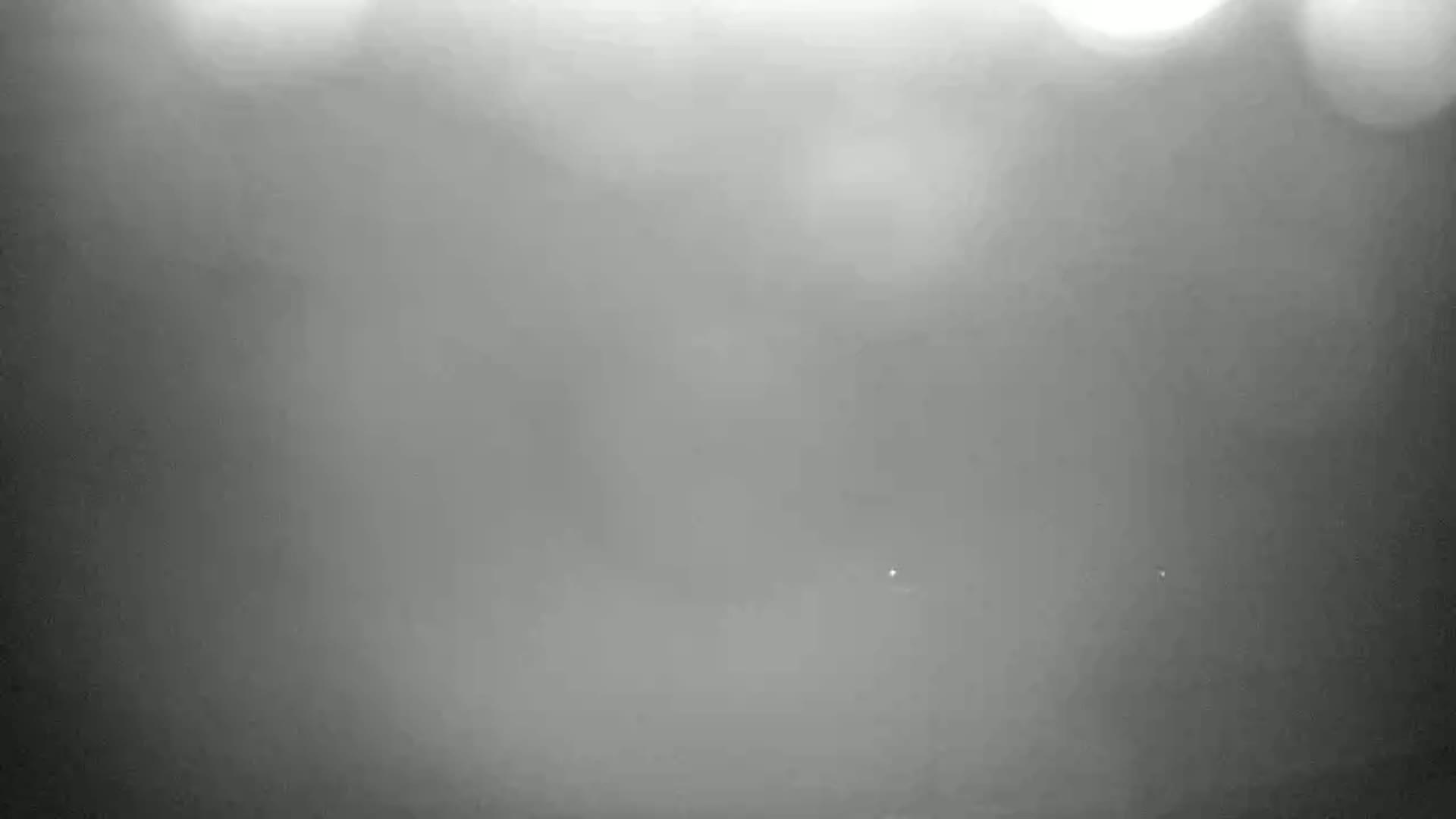 A blurry, foggy outdoor scene shows a few faint lights in the distance.