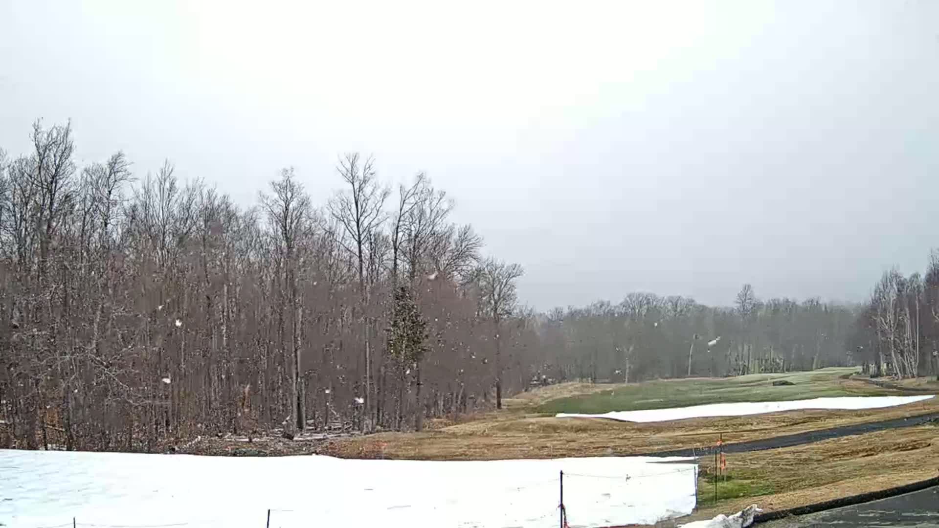 Light snow falls on a mostly bare golf course bordered by leafless trees.