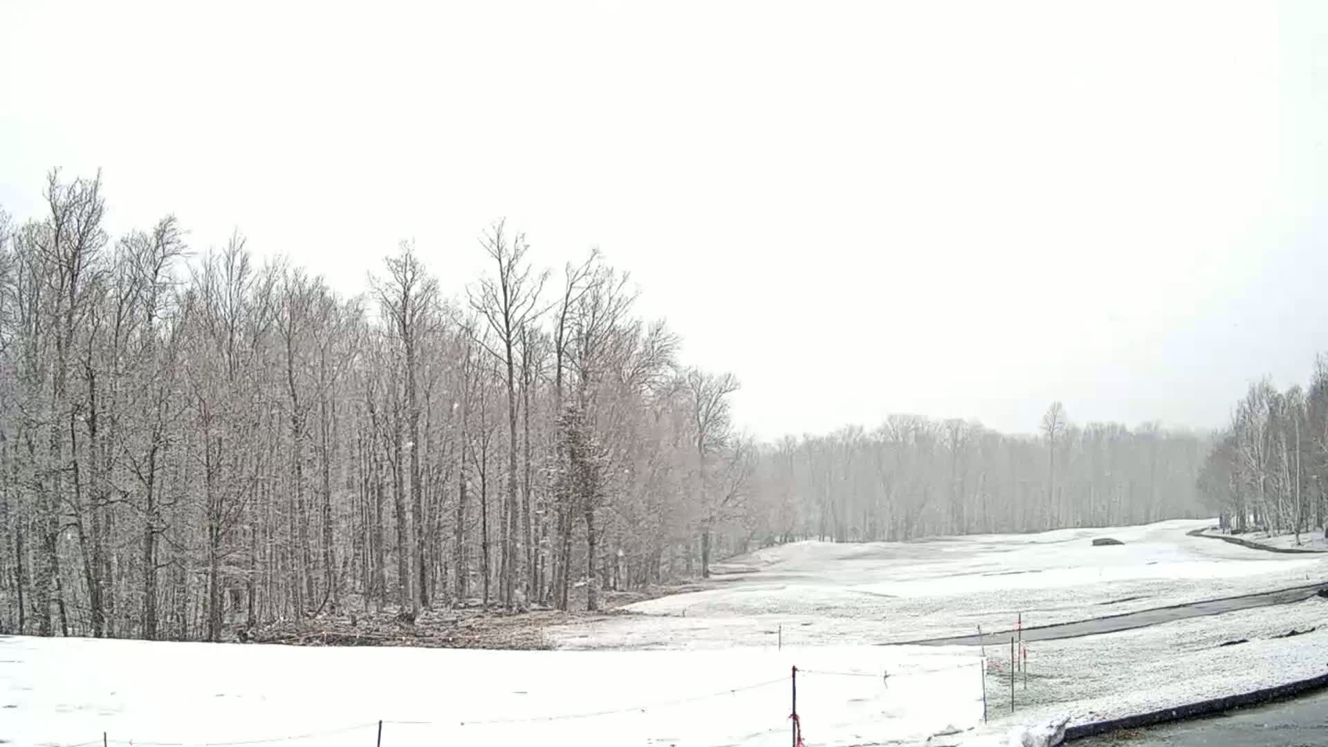 A snow-covered golf course is visible, bordered by leafless trees under a lightly snowing sky.