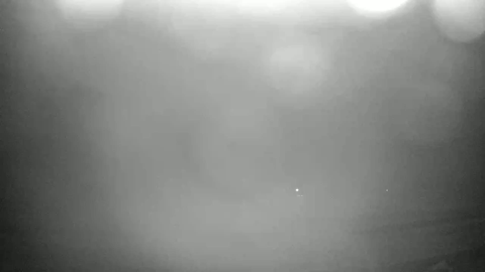 A blurry, foggy, or hazy scene is visible at night, with faint lights in the distance.