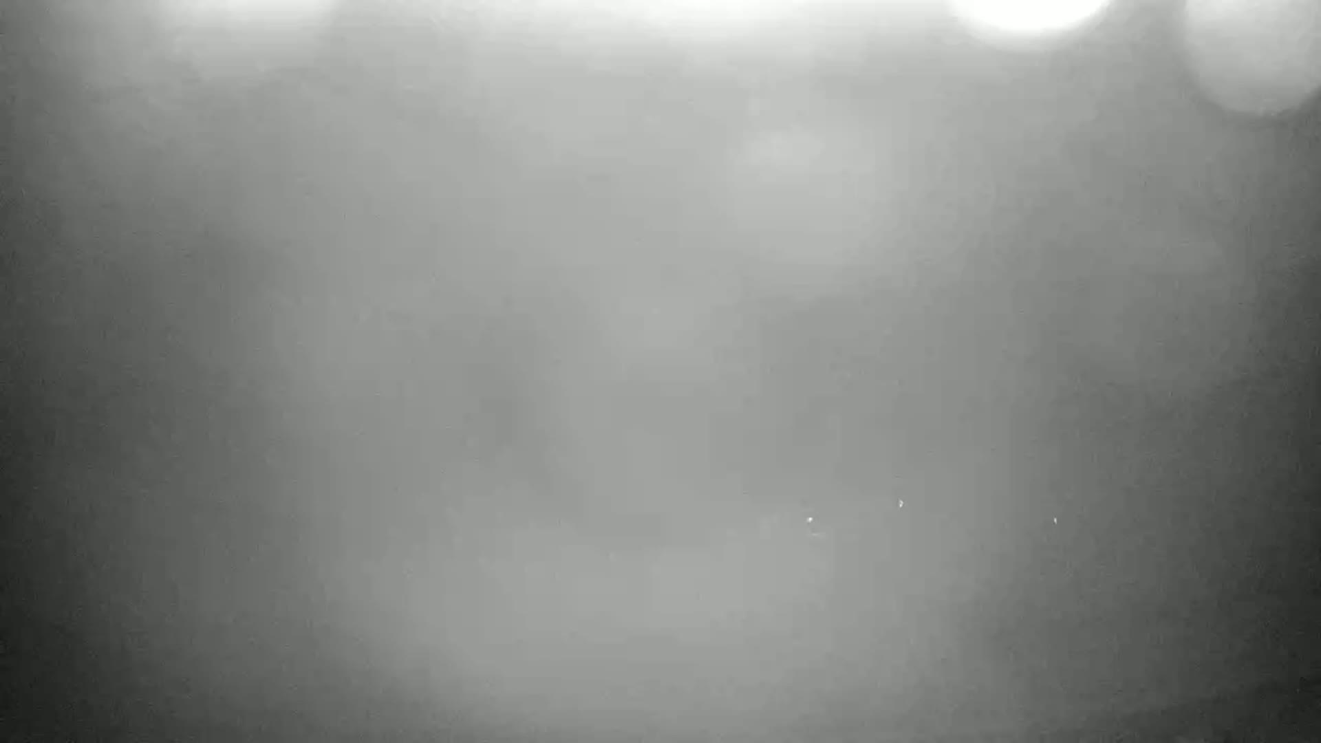 A blurry, foggy outdoor scene shows a few faint lights in the distance.