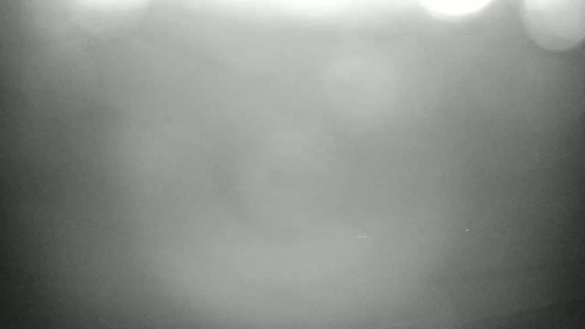A blurry, gray image shows an overcast or foggy outdoor scene with indistinct shapes and bright spots.