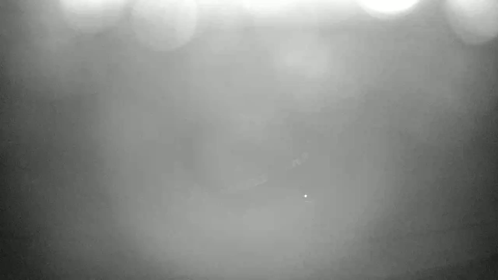 A blurry, foggy image shows a dark, indistinct shape in the center, possibly a vehicle, under a hazy sky.