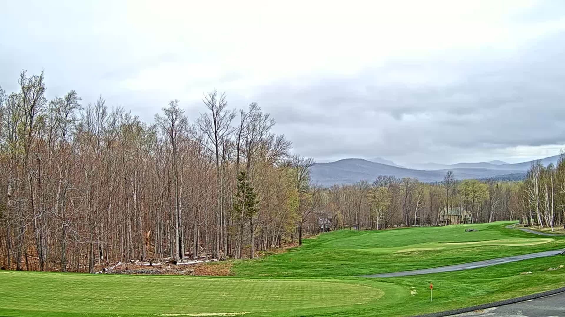 A golf course with a green fairway, bordered by leafing deciduous trees and distant mountains under an overcast sky.