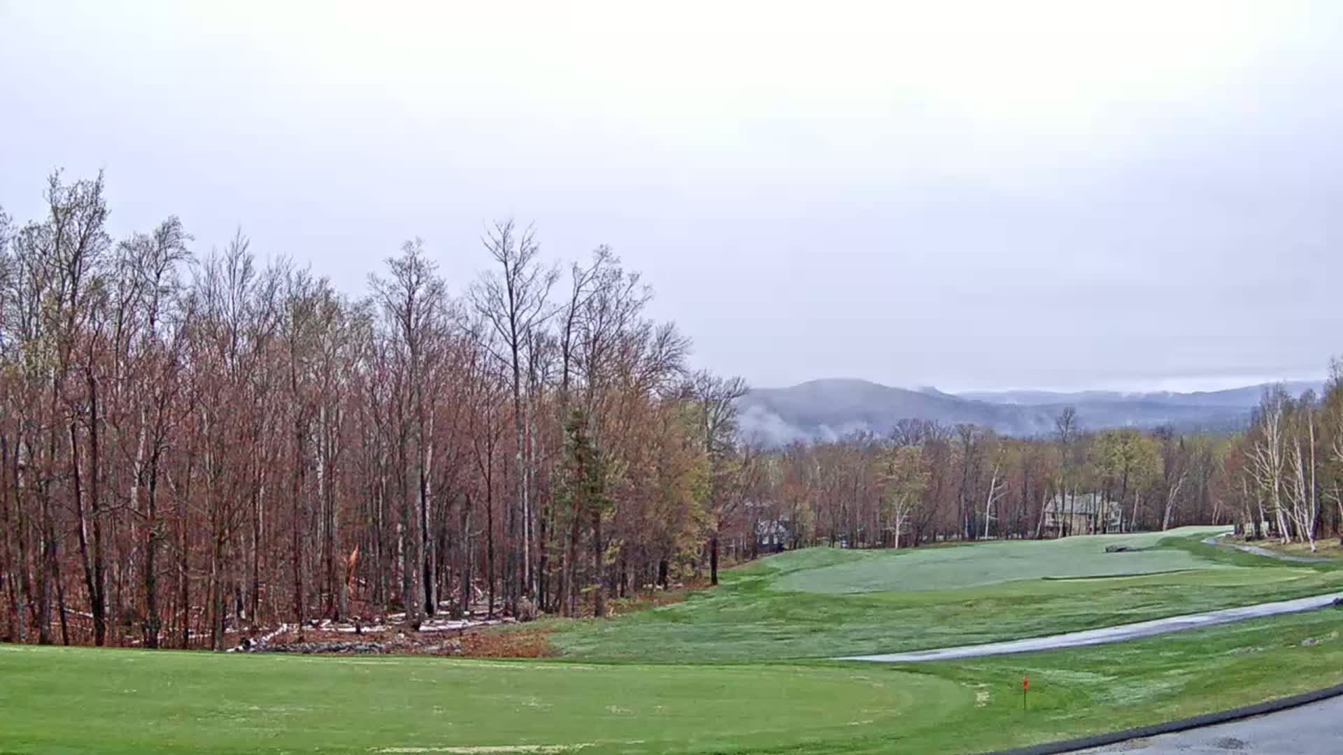 A mostly bare, deciduous forest overlooks a damp, green golf course on a cloudy day with distant, hazy mountains in the background.