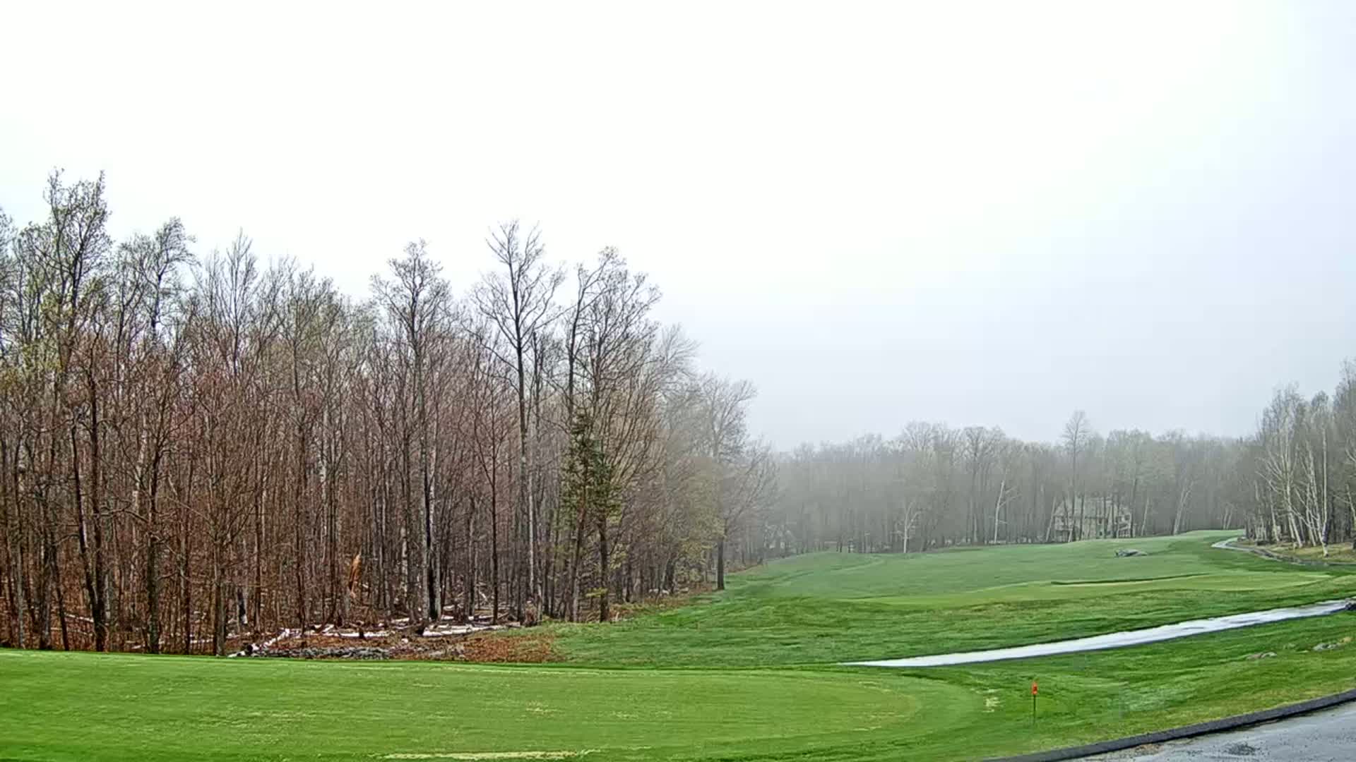 A golf course fairway stretches out under an overcast sky, bordered by a line of leafless trees.