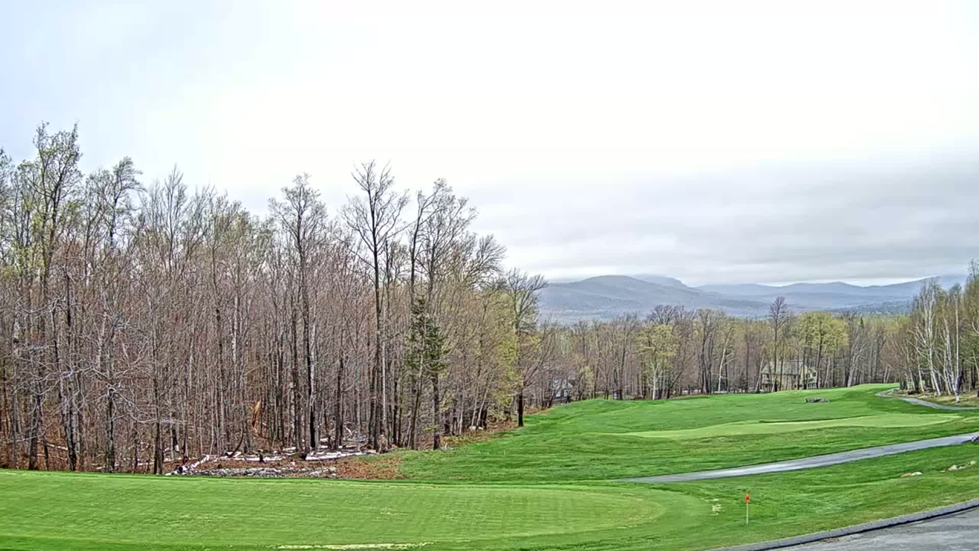 A mostly-bare, deciduous forest borders a green golf course with distant, hazy mountains under a cloudy sky.