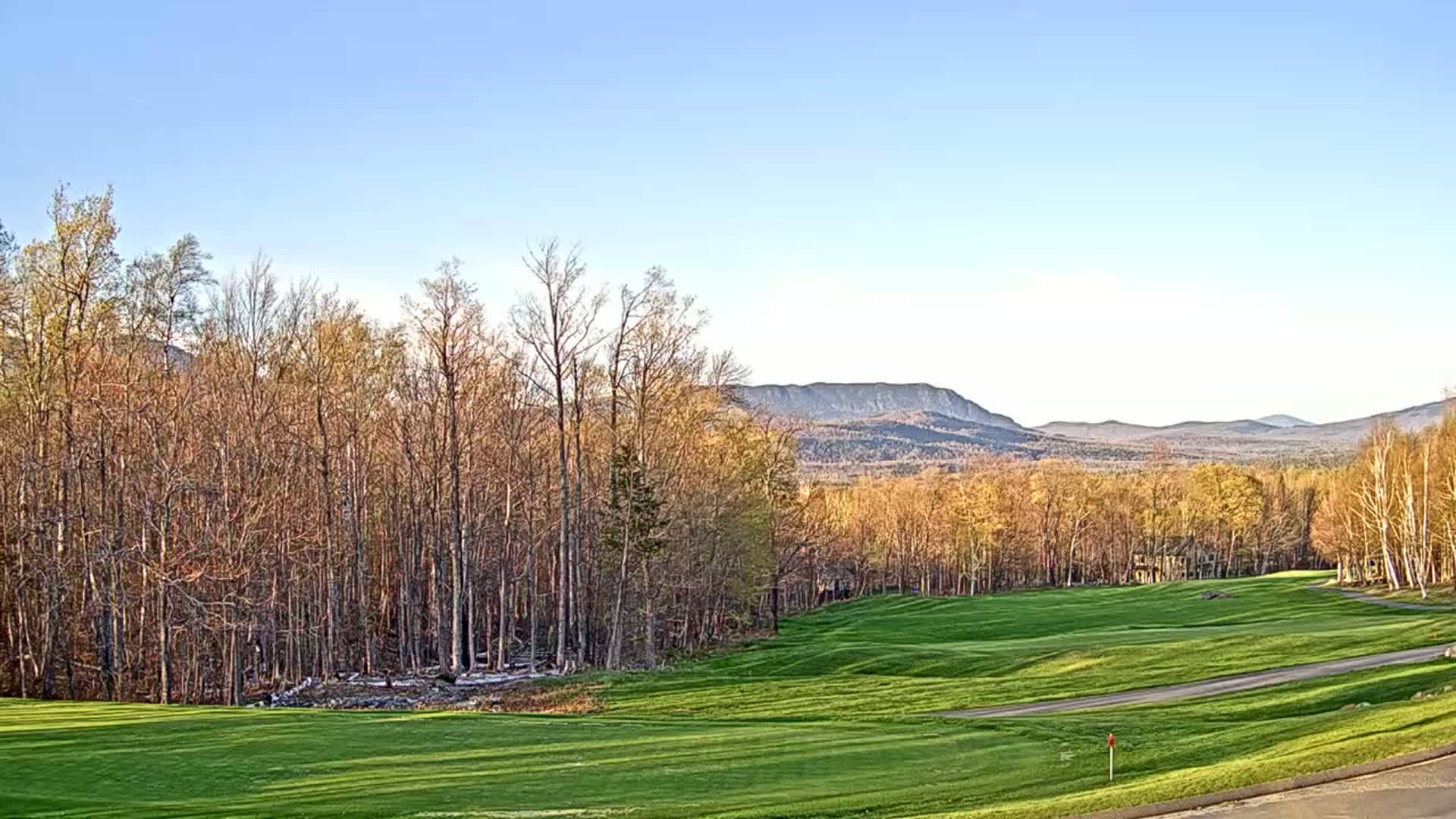 A green golf course, bordered by bare deciduous trees and a road, stretches towards distant, hazy mountains under a clear blue sky.