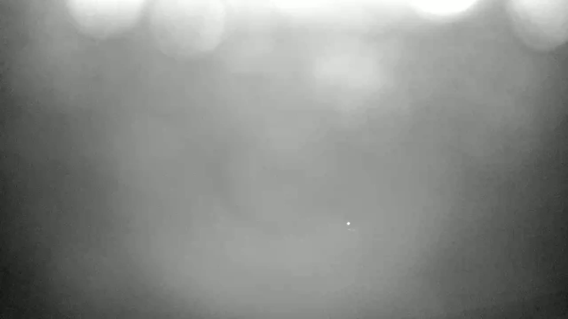 A blurry, grayscale image shows a foggy or hazy outdoor scene with bright lights out of focus in the upper portion.