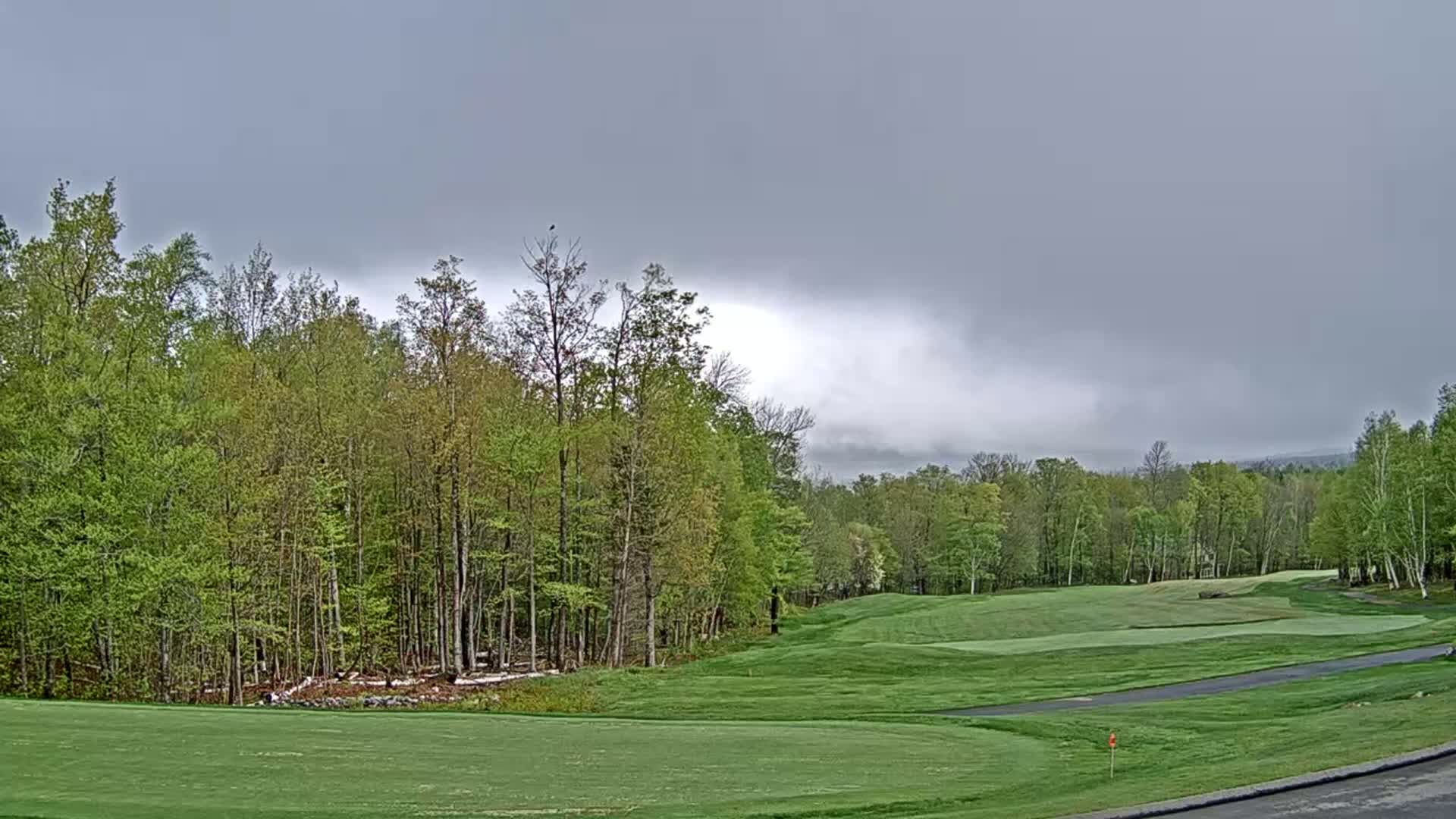 A golf course, bordered by lush green deciduous trees under an overcast sky.