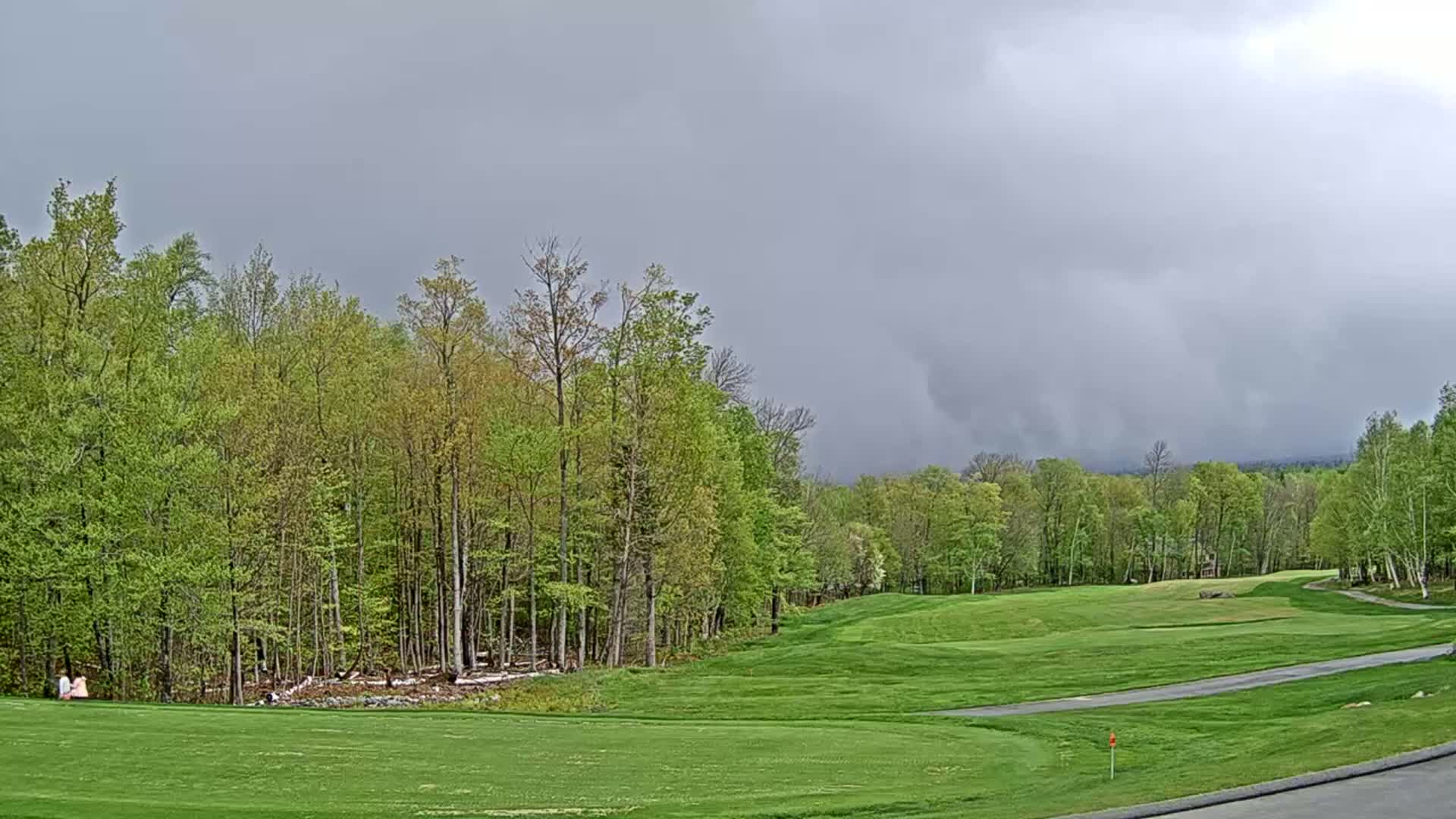 A golf course bordered by a lush green forest under a heavily overcast sky.