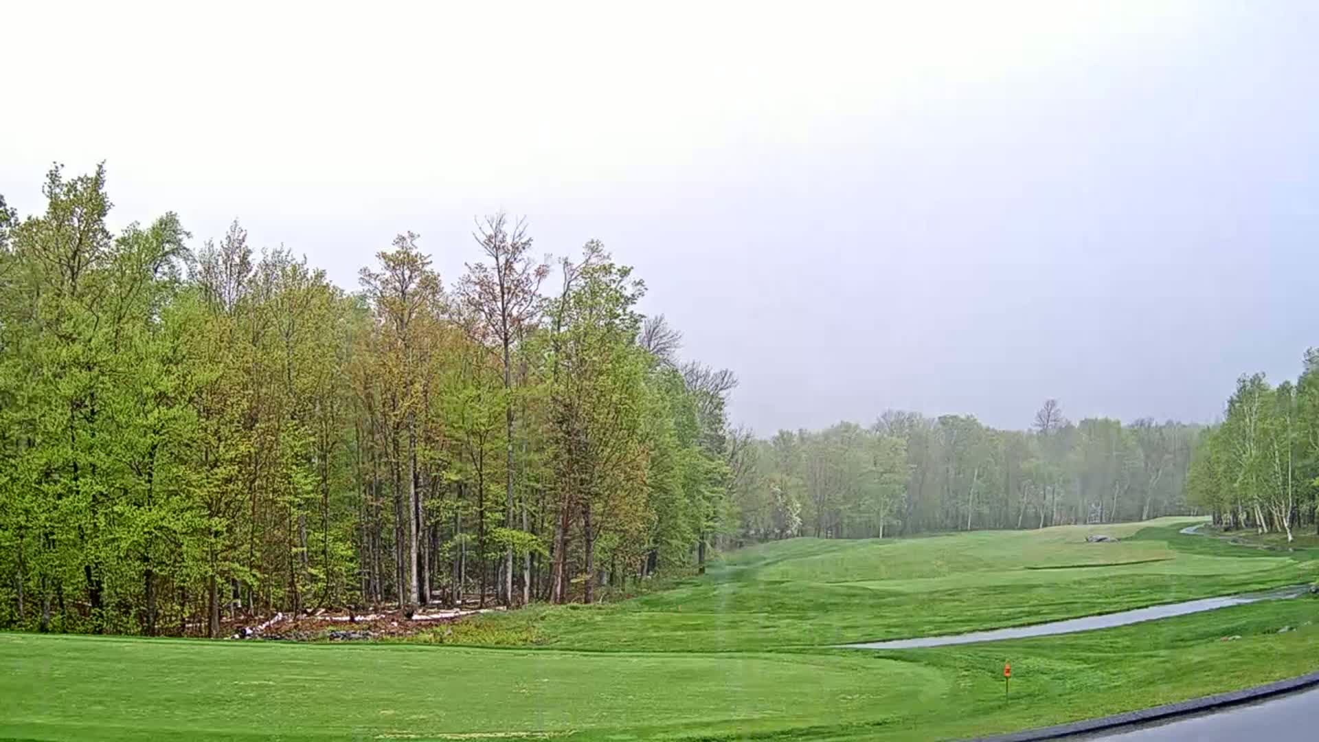 A golf course fairway bordered by a line of deciduous trees under an overcast sky.