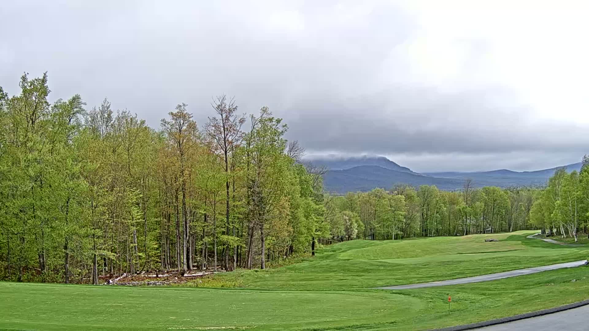 A golf course with a green fairway, bordered by lush deciduous trees, stretches towards hazy mountains under an overcast sky.
