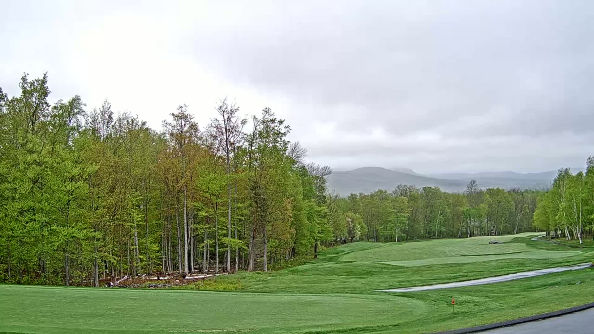 A golf course with a green fairway and trees under an overcast sky.