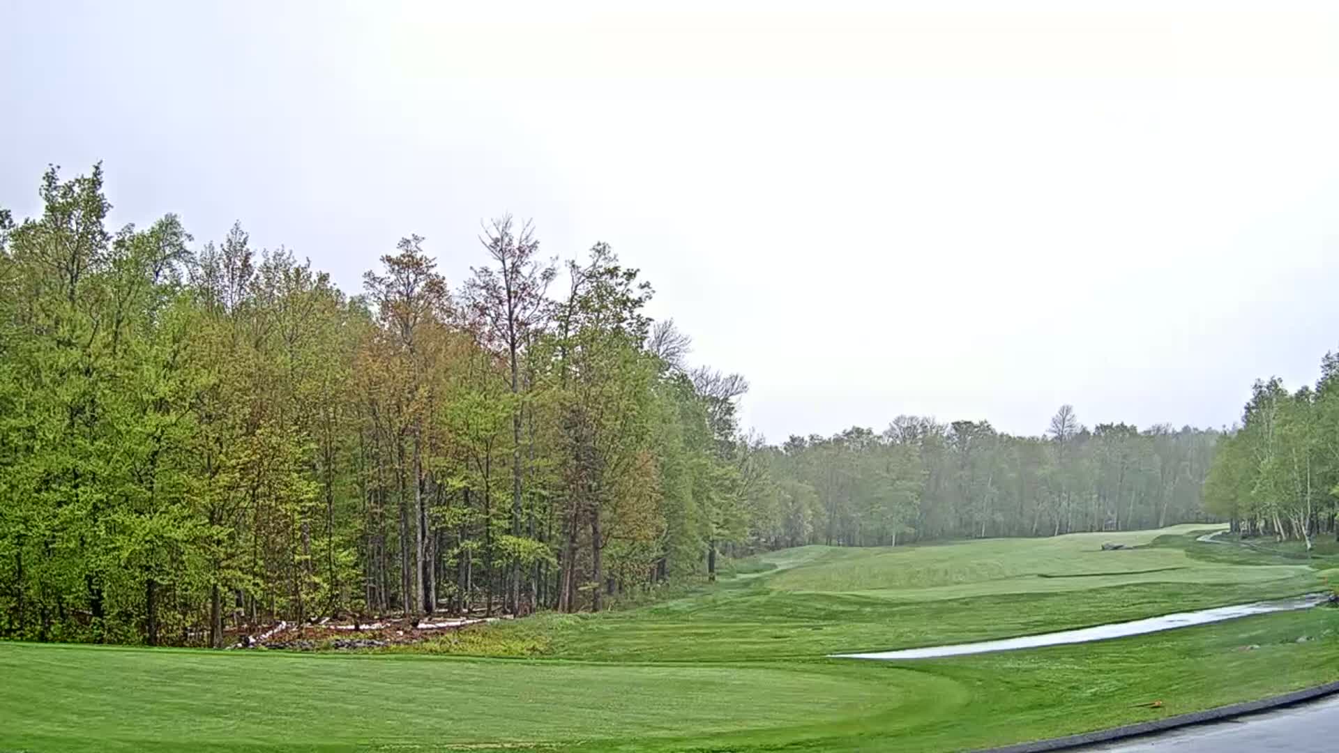 A golf course fairway and green bordered by a lush deciduous forest under an overcast sky, with light rain falling.