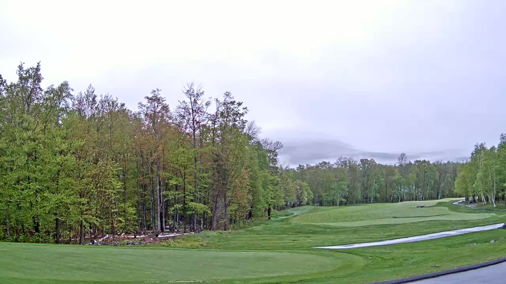 A golf course bordered by lush green trees stretches towards a misty mountain range under an overcast sky.