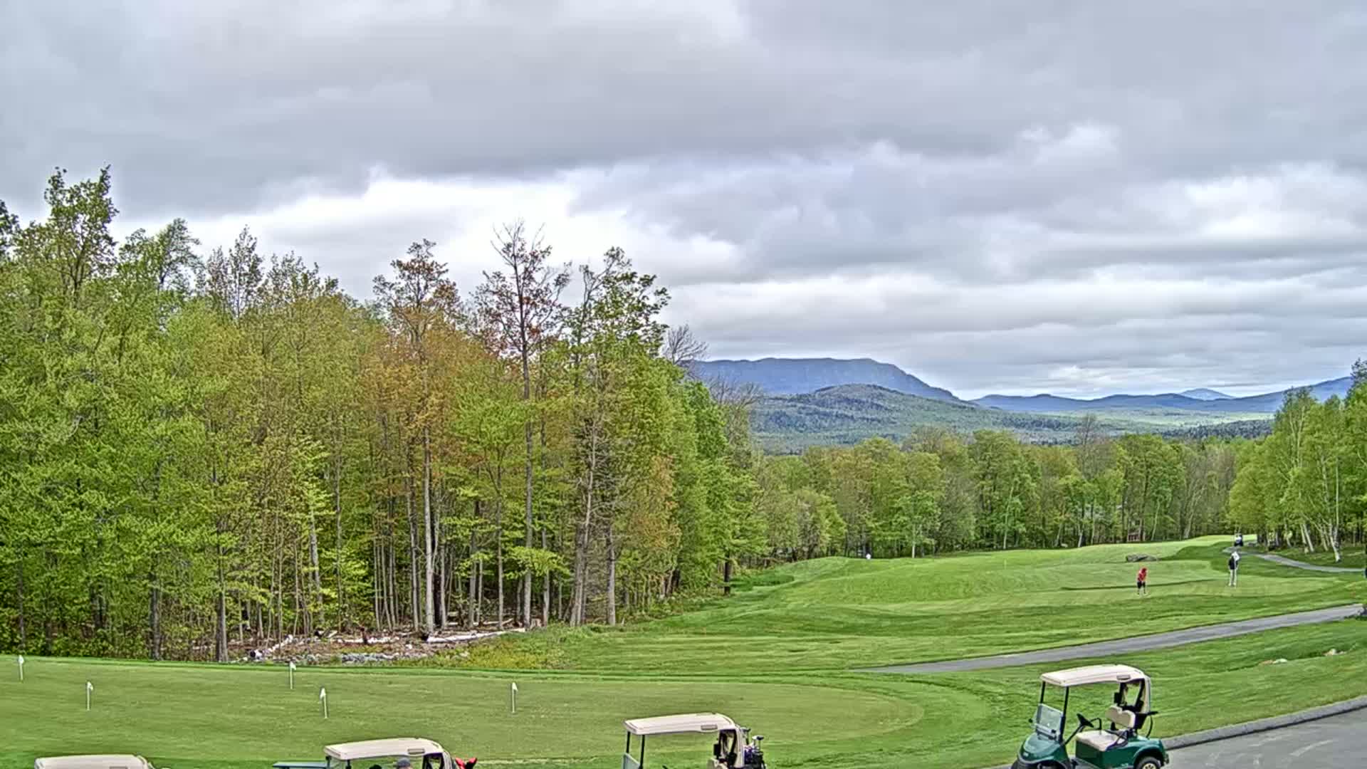 A golf course with several golf carts sits before a forest and distant mountains under a cloudy sky.