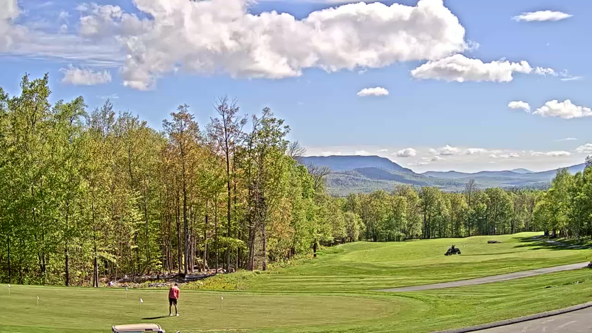 A golfer stands on a green overlooking a golf course, surrounded by lush green trees and distant blue mountains under a partly cloudy sky.