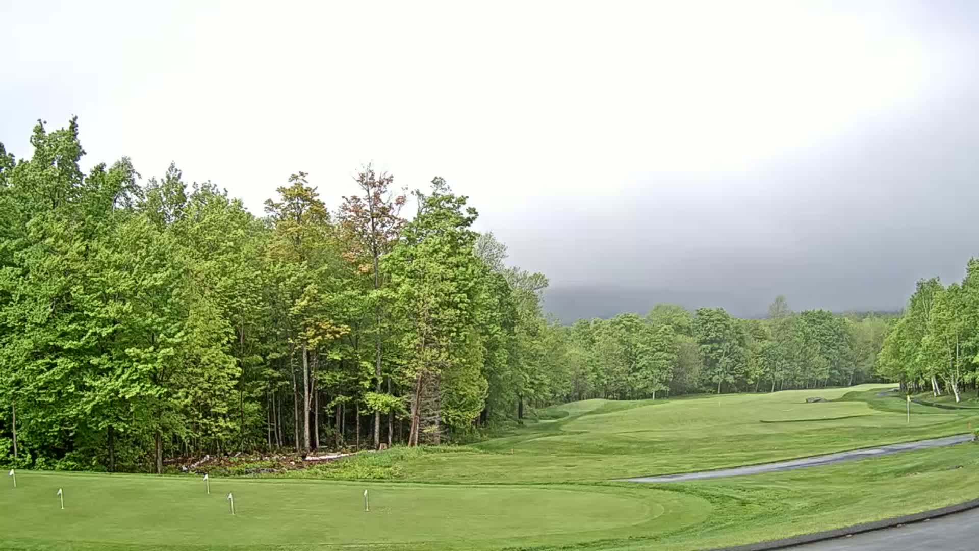 A golf course, bordered by lush green deciduous trees under an overcast sky, shows a putting green in the foreground and a fairway stretching into the distance.
