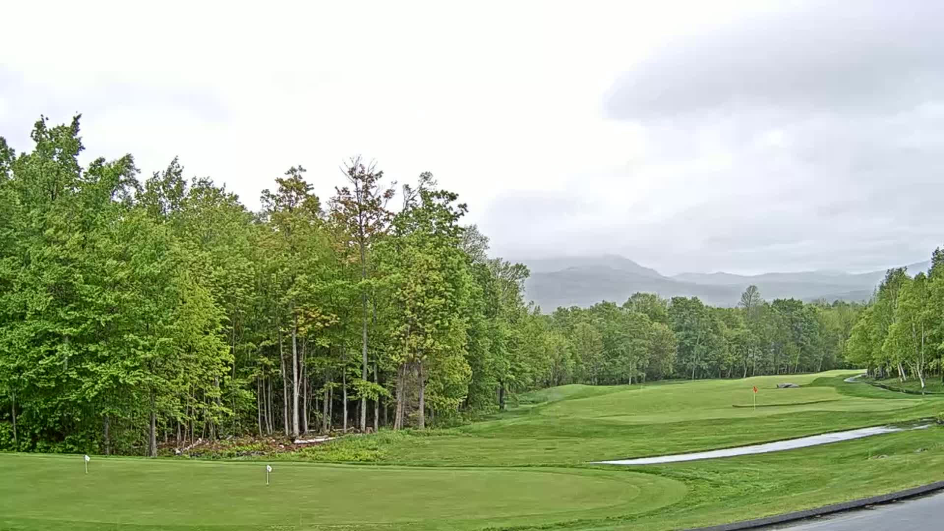 A golf course green sits beneath an overcast sky, surrounded by lush green deciduous trees and distant hazy mountains.