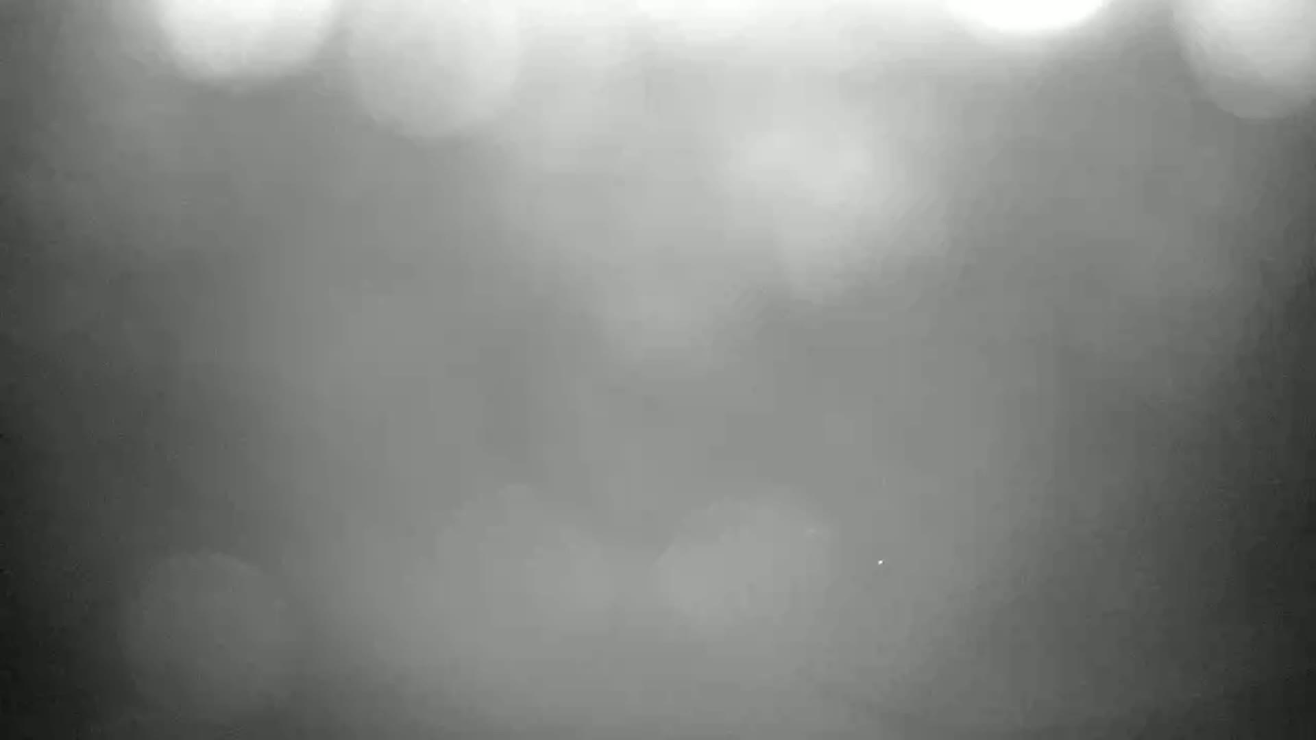 A blurry grayscale image shows an out-of-focus scene in hazy or foggy conditions.