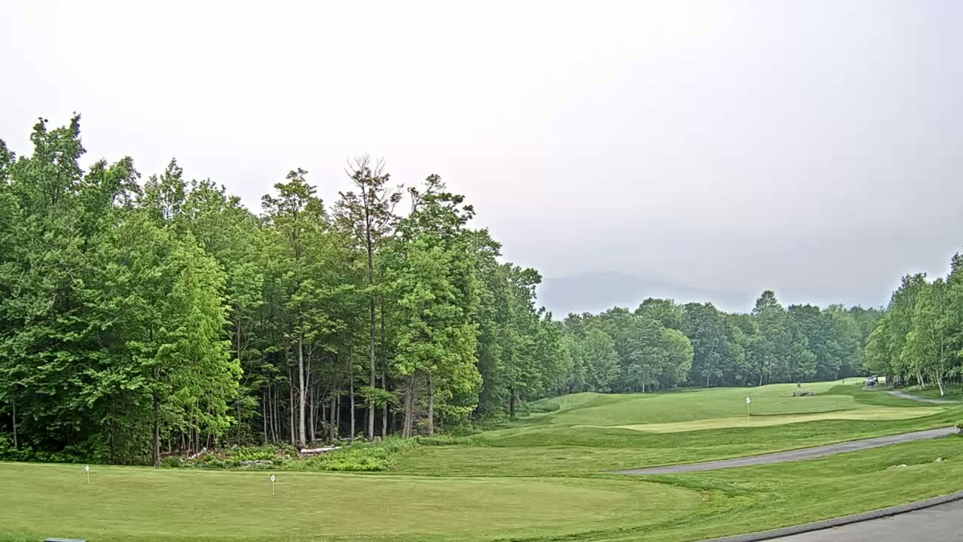A golf course, bordered by lush green deciduous trees, stretches into the hazy distance under a cloudy sky.
