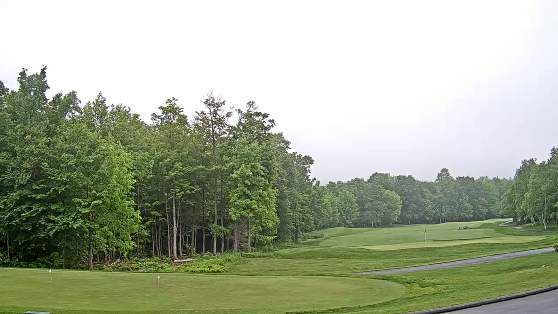 A golf course green bordered by lush green trees under an overcast sky.