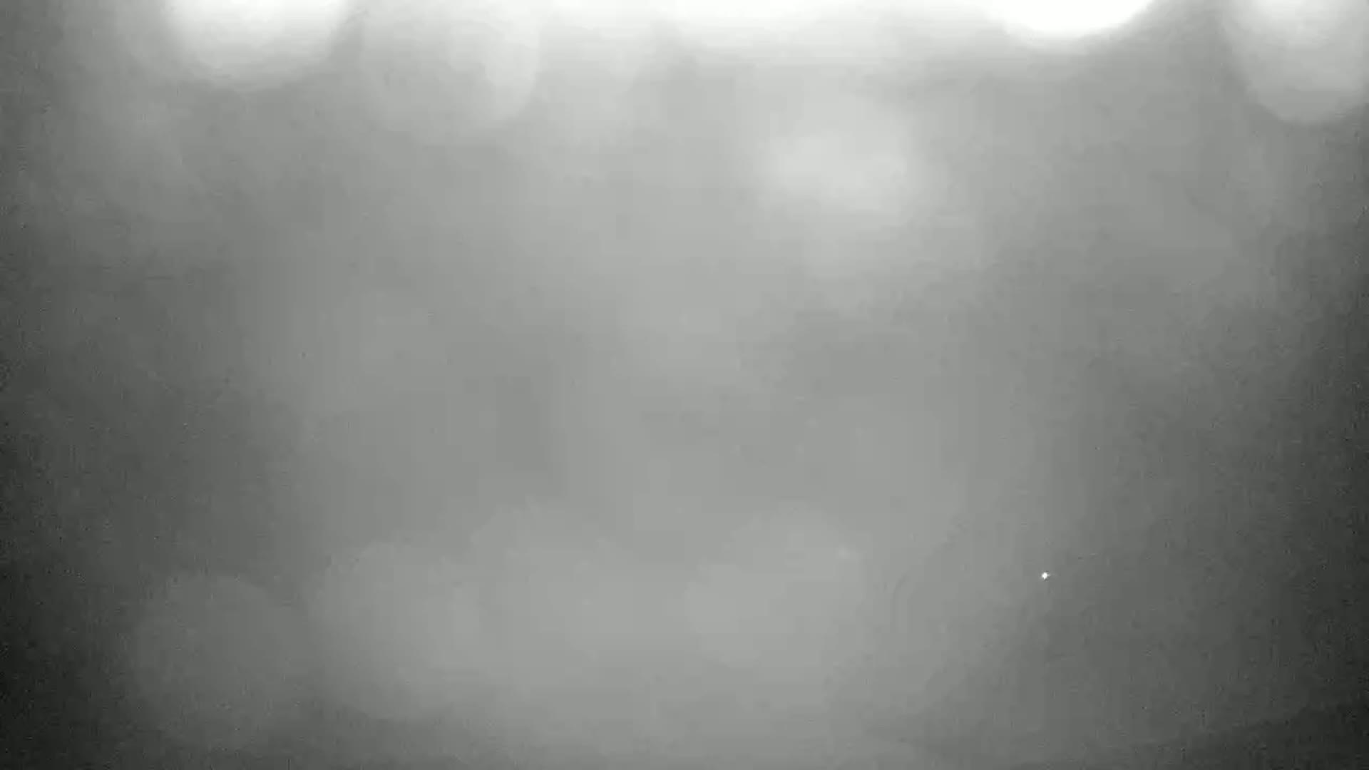 A blurry, grayscale image shows an overcast, foggy scene with indistinct shapes in the mid-ground.