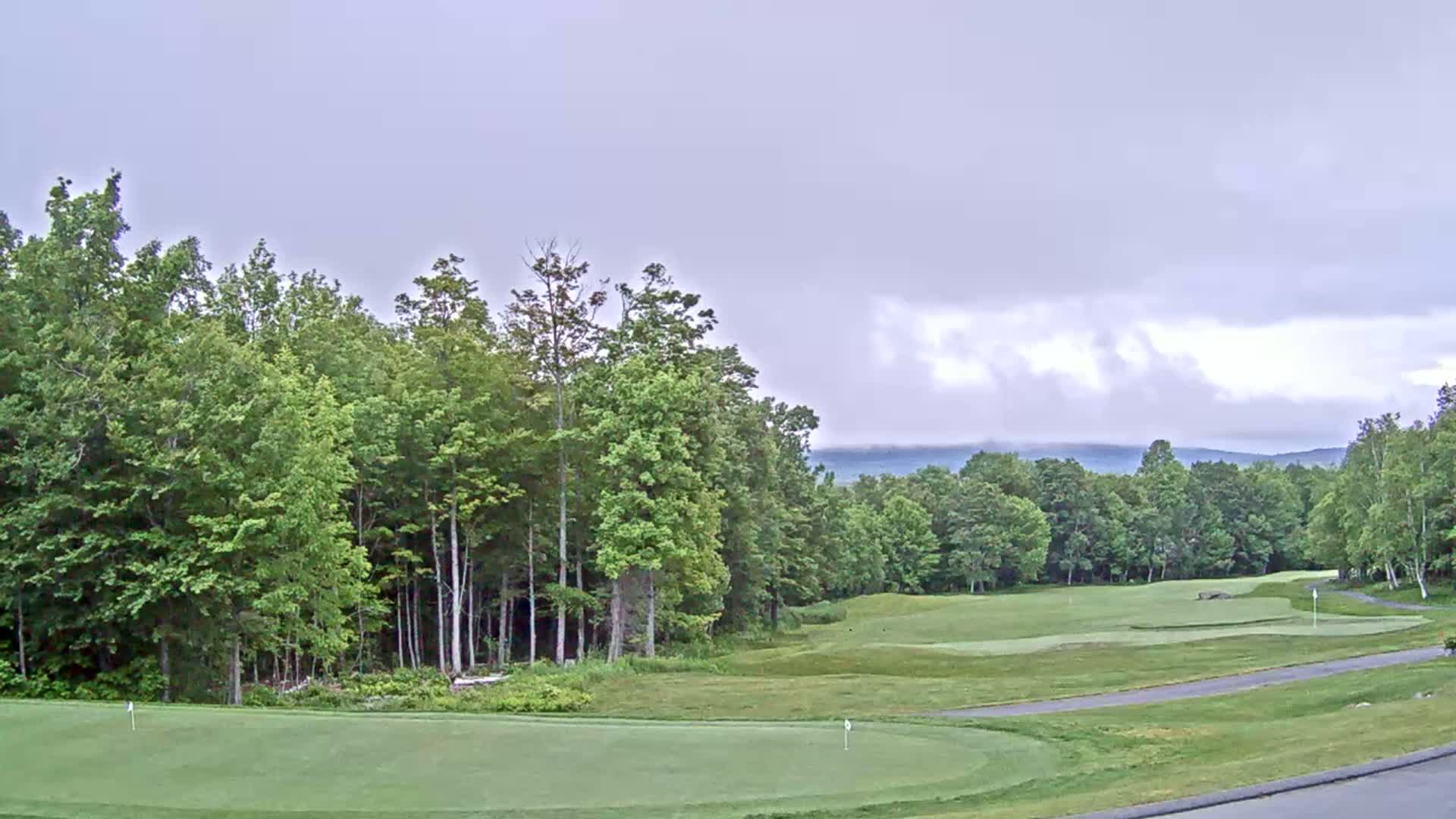 A golf course, mostly green with a few fairways and putting greens, is nestled amongst lush green trees under an overcast sky.