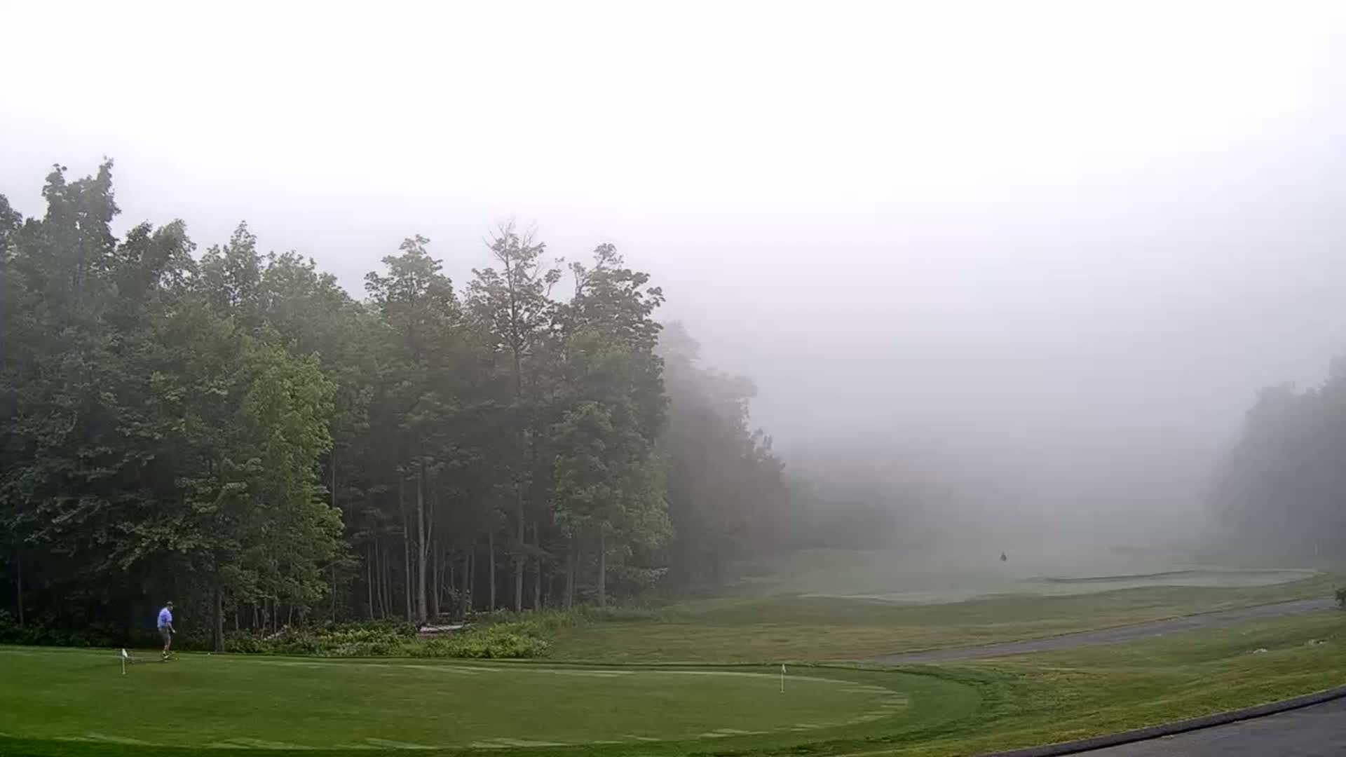A golfer stands on a foggy golf course surrounded by lush green trees.