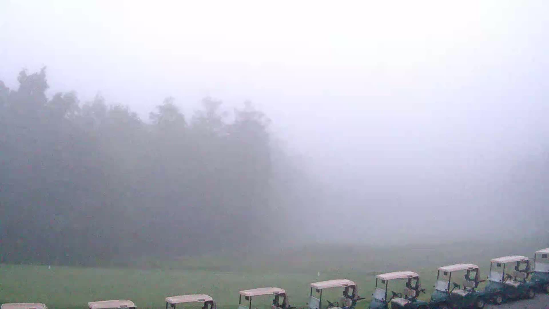 Several golf carts are parked on a foggy, grassy area in front of a dense, fog-shrouded forest.