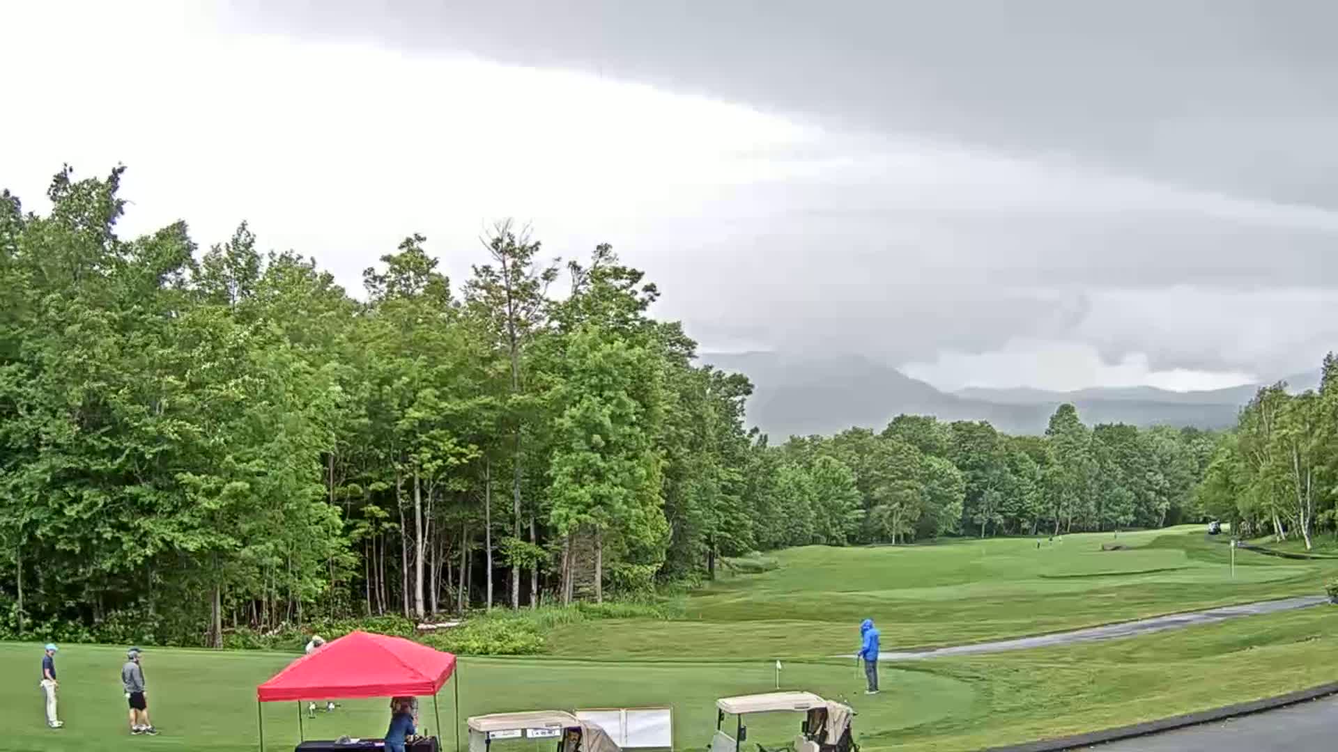 A golf course with several golfers and golf carts under an overcast sky, backed by lush green trees and distant mountains.