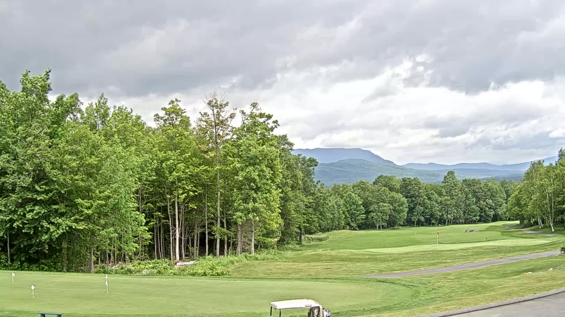 A golf course with lush green fairways and putting greens, surrounded by a forest of deciduous trees under a cloudy sky, overlooks a range of distant mountains.