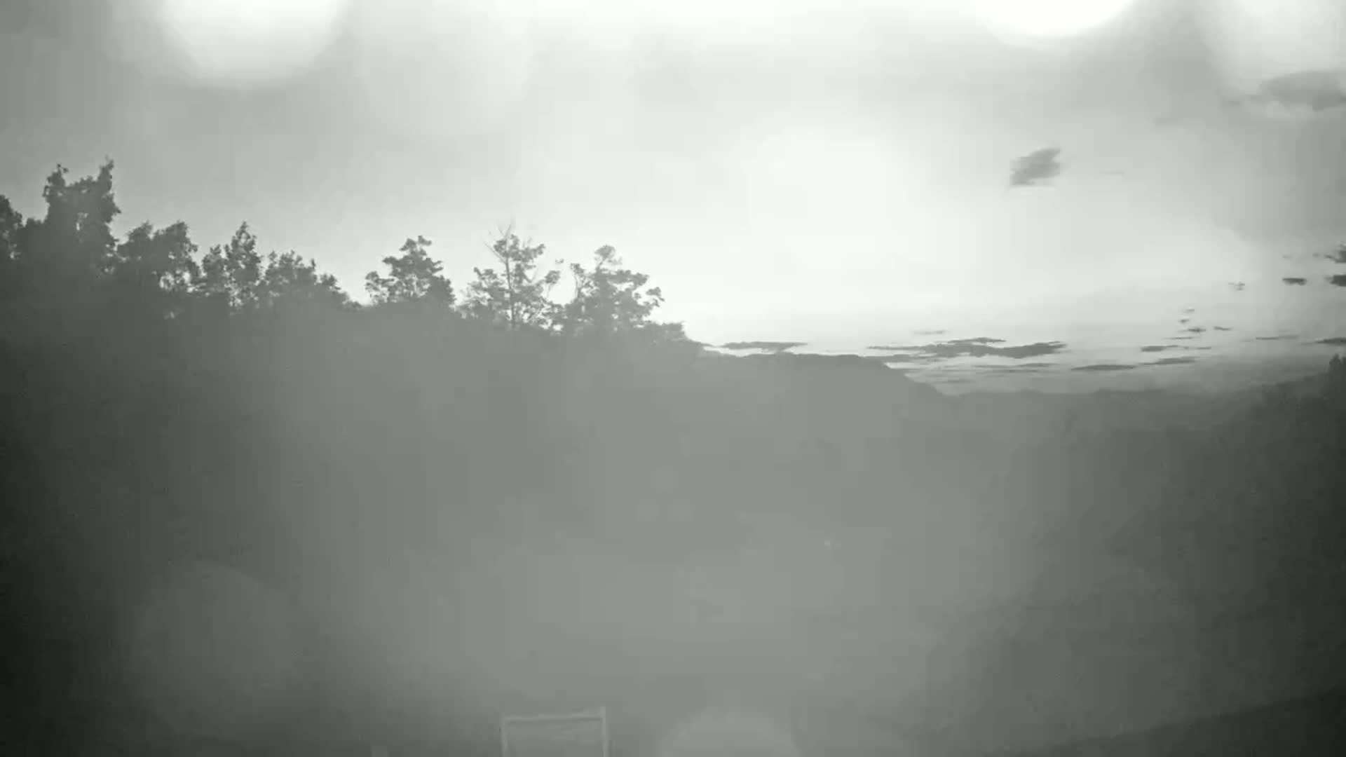 A hazy, overcast sky hangs over a line of dark trees and distant hills.