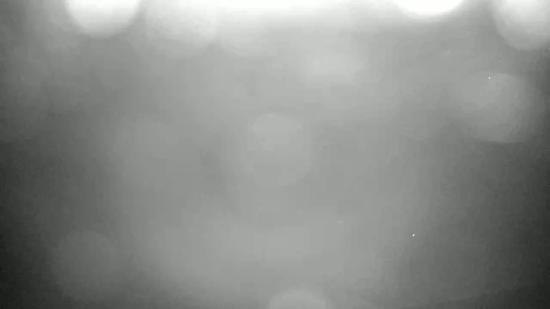 A blurry, grayscale image shows out-of-focus light sources and atmospheric haze.