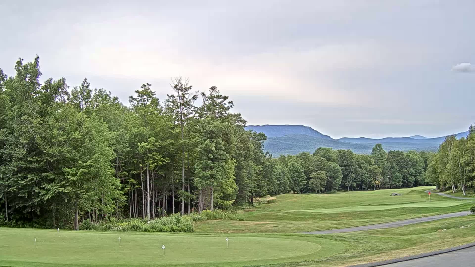 A putting green on a golf course bordered by lush green trees, with a mountain range visible in the background under a cloudy sky.