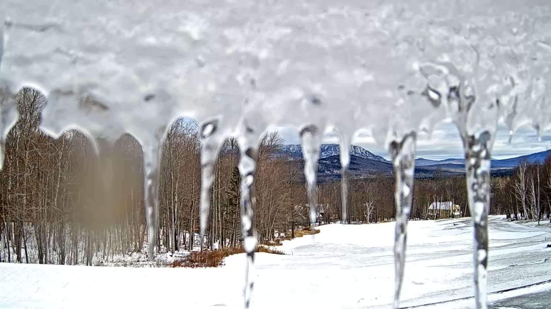 A putting green on a golf course bordered by lush green trees, with a mountain range visible in the background under a cloudy sky.