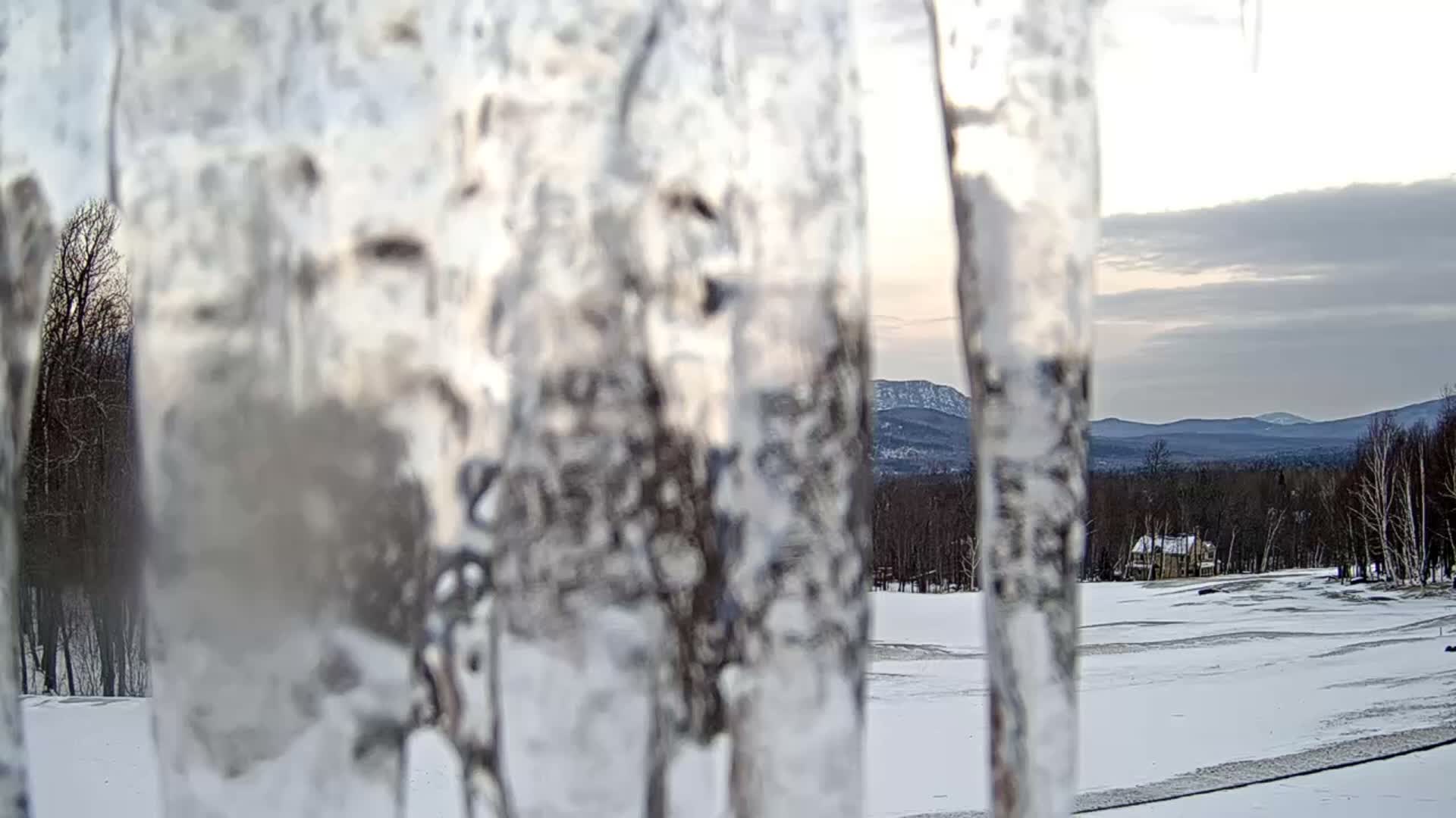 Numerous golden-hued icicles hang closely in the foreground against a blurred, dark blue background, indicating cold and freezing outdoor conditions.