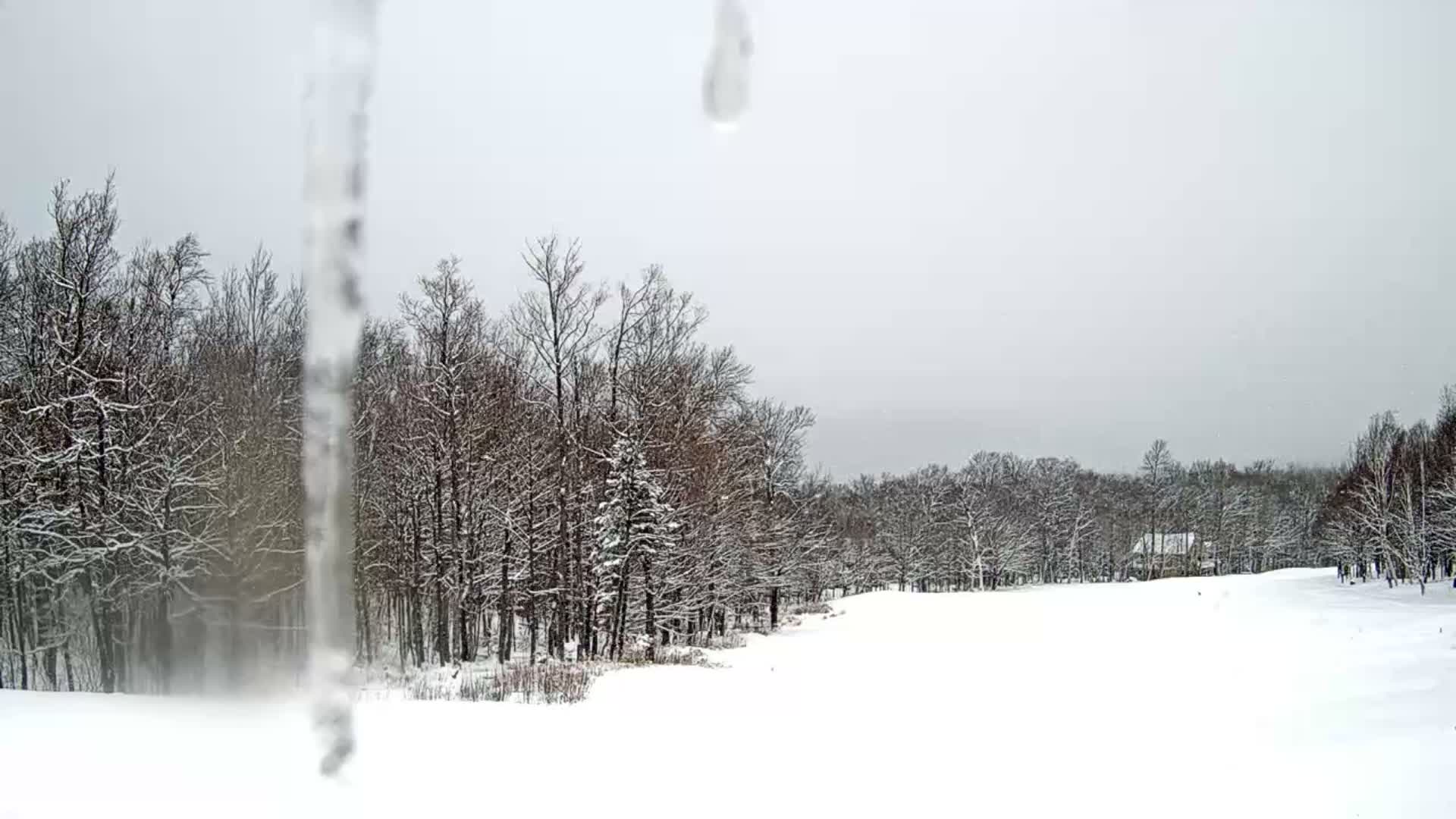 Kingfield, Sugarloaf Mountain Golf Course Live Cam - Kingfield, Franklin, Maine, USA