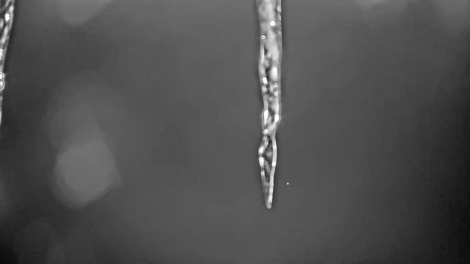 Kingfield, Sugarloaf Mountain Golf Course Live Cam - Kingfield, Franklin, Maine, USA