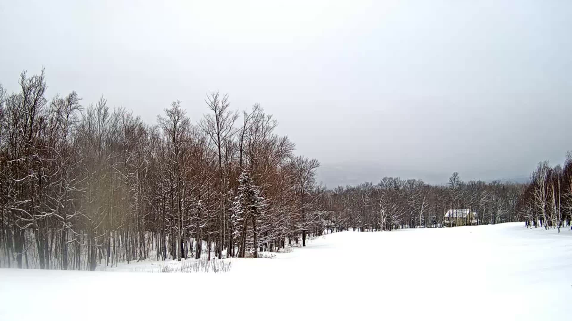 Kingfield, Sugarloaf Mountain Golf Course Live Cam - Kingfield, Franklin, Maine, USA
