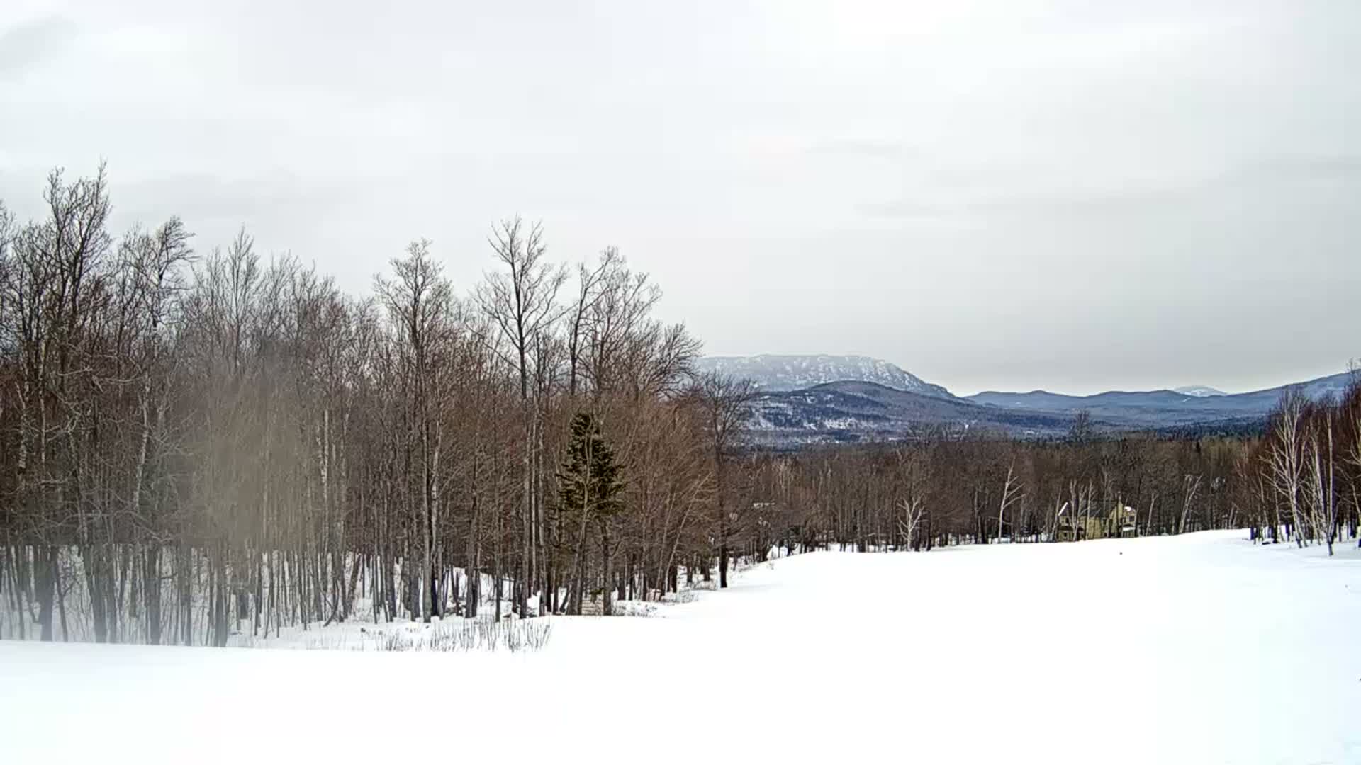 Kingfield, Sugarloaf Mountain Golf Course Live Cam - Kingfield, Franklin, Maine, USA