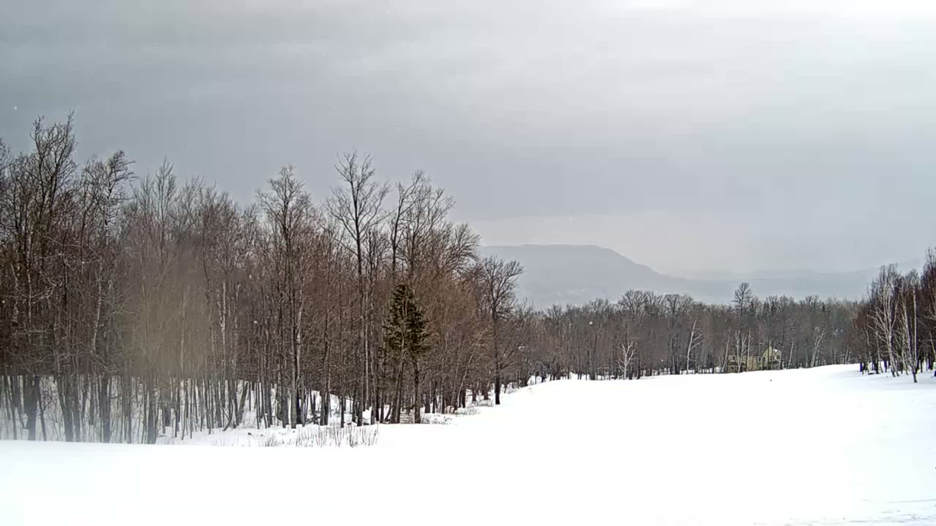 Kingfield, Sugarloaf Mountain Golf Course Live Cam - Kingfield, Franklin, Maine, USA