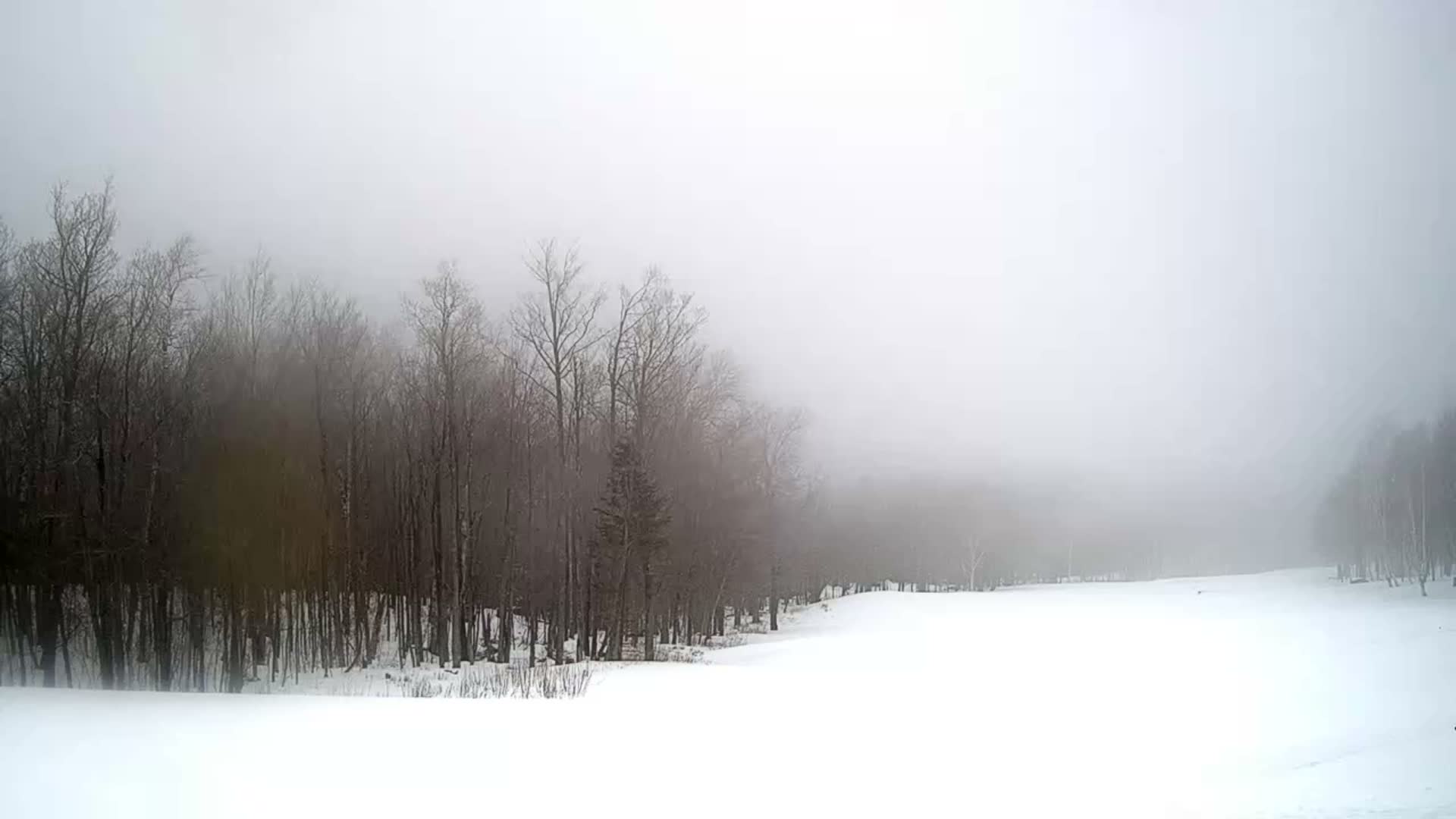 Kingfield, Sugarloaf Mountain Golf Course Live Cam - Kingfield, Franklin, Maine, USA