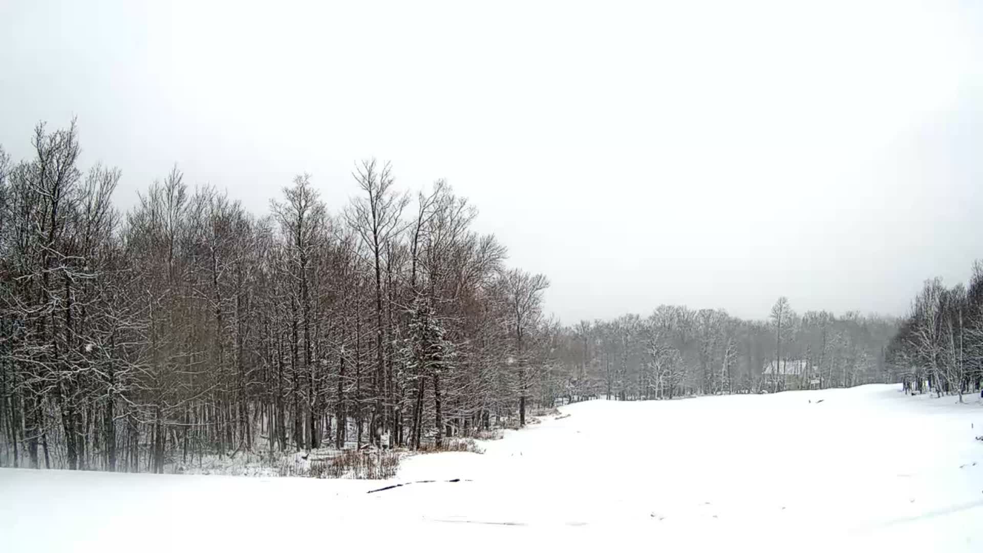 Kingfield, Sugarloaf Mountain Golf Course Live Cam - Kingfield, Franklin, Maine, USA