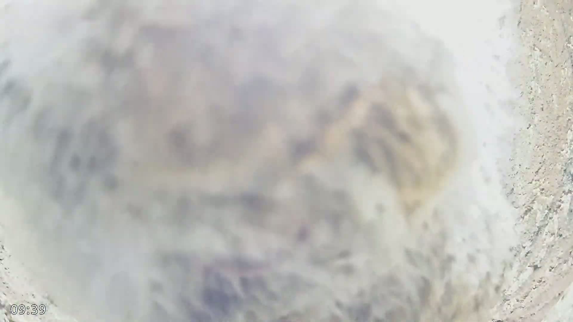 A blurry, out-of-focus image shows a light-grey, possibly dusty or smoky substance filling a crater-like depression.
