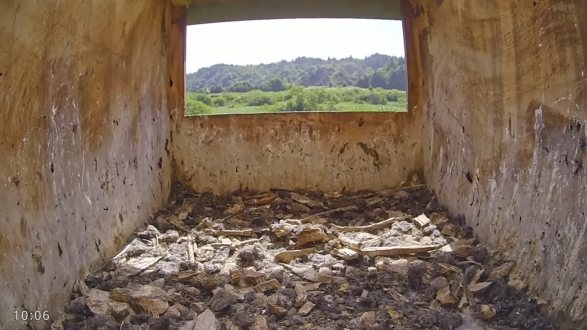 The interior of a birdhouse, littered with debris and nesting material, shows a sunny view of a hilly green landscape through a window.