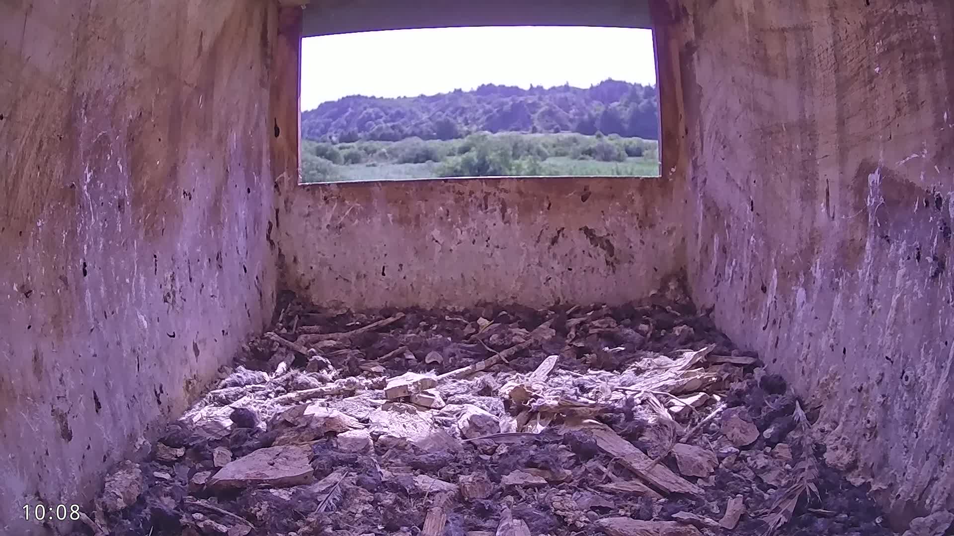 The interior of a birdhouse shows a pile of nesting material on the floor, with a view of a sunny, wooded landscape through a small window.