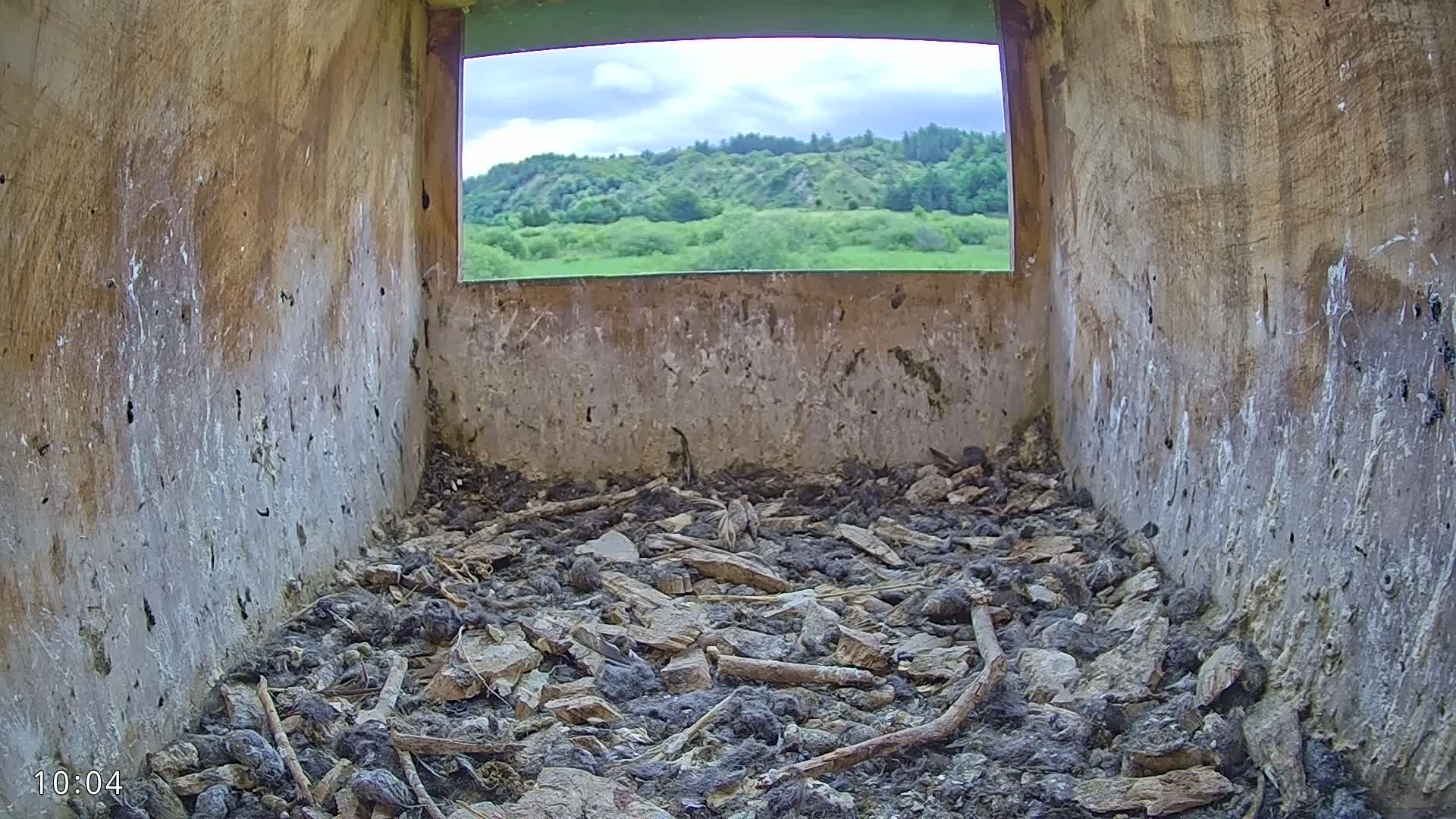 The interior of a birdhouse shows a floor covered in debris and nesting material, with a window offering a view of a partly cloudy sky and a green, hilly landscape.